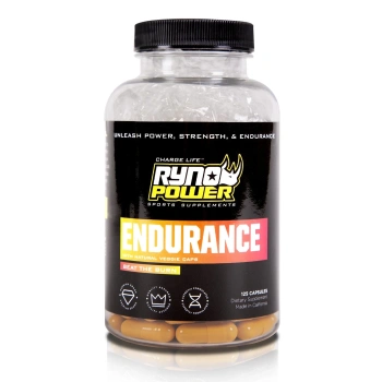 endurance-front-reflection-2a8b0f21-1341-439a-8ae5-3f30bbc6ddb9.webp
